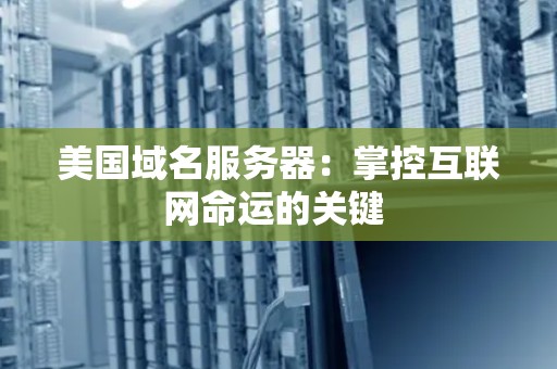 美国域名服务器：掌控互联网命运的关键 